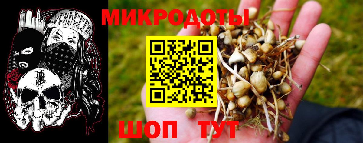 Галлюциногенные грибы Psilocybine cubensis Владикавказ